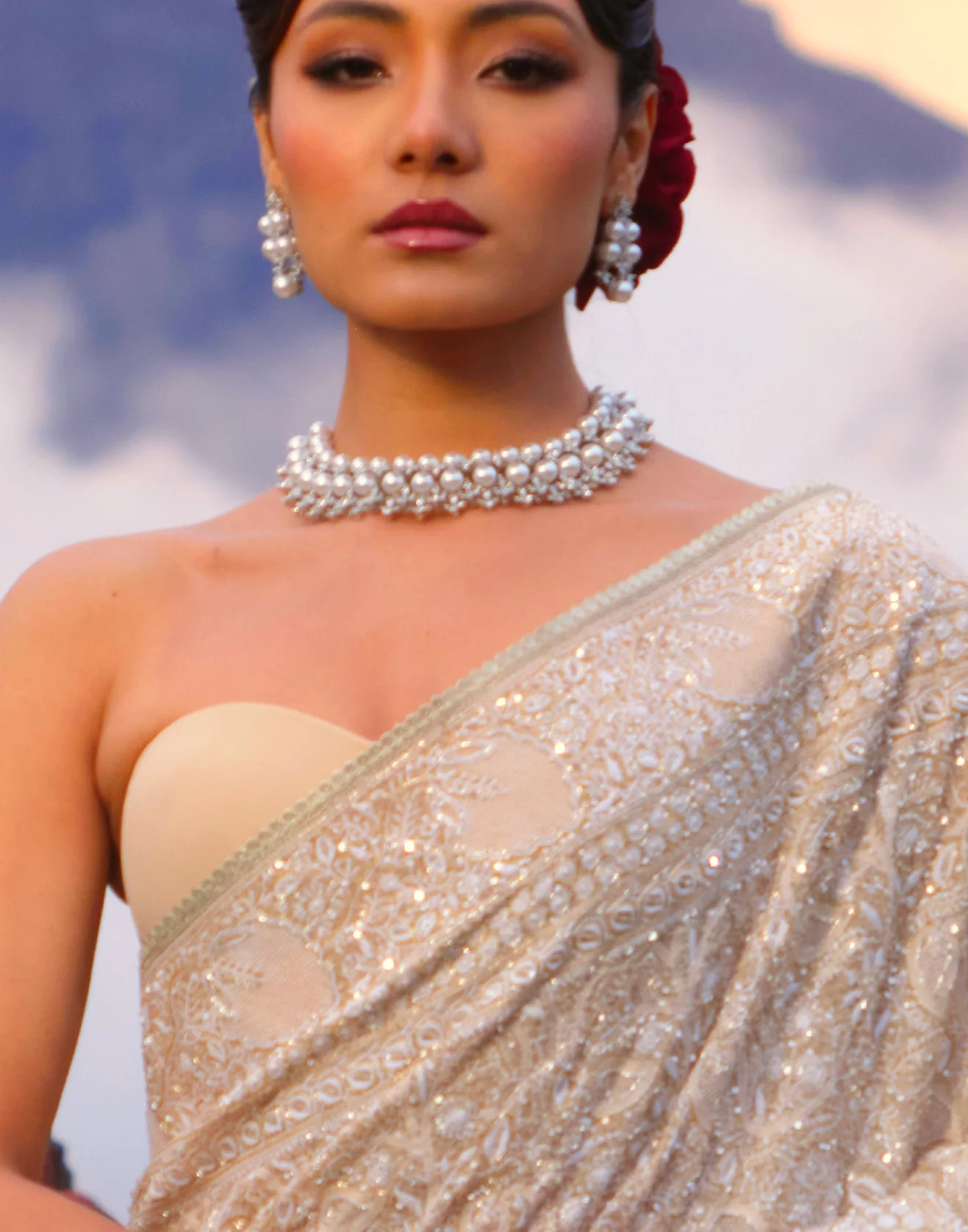 Nawabi Pearl Embellished Lucknowi Saree - Image 3