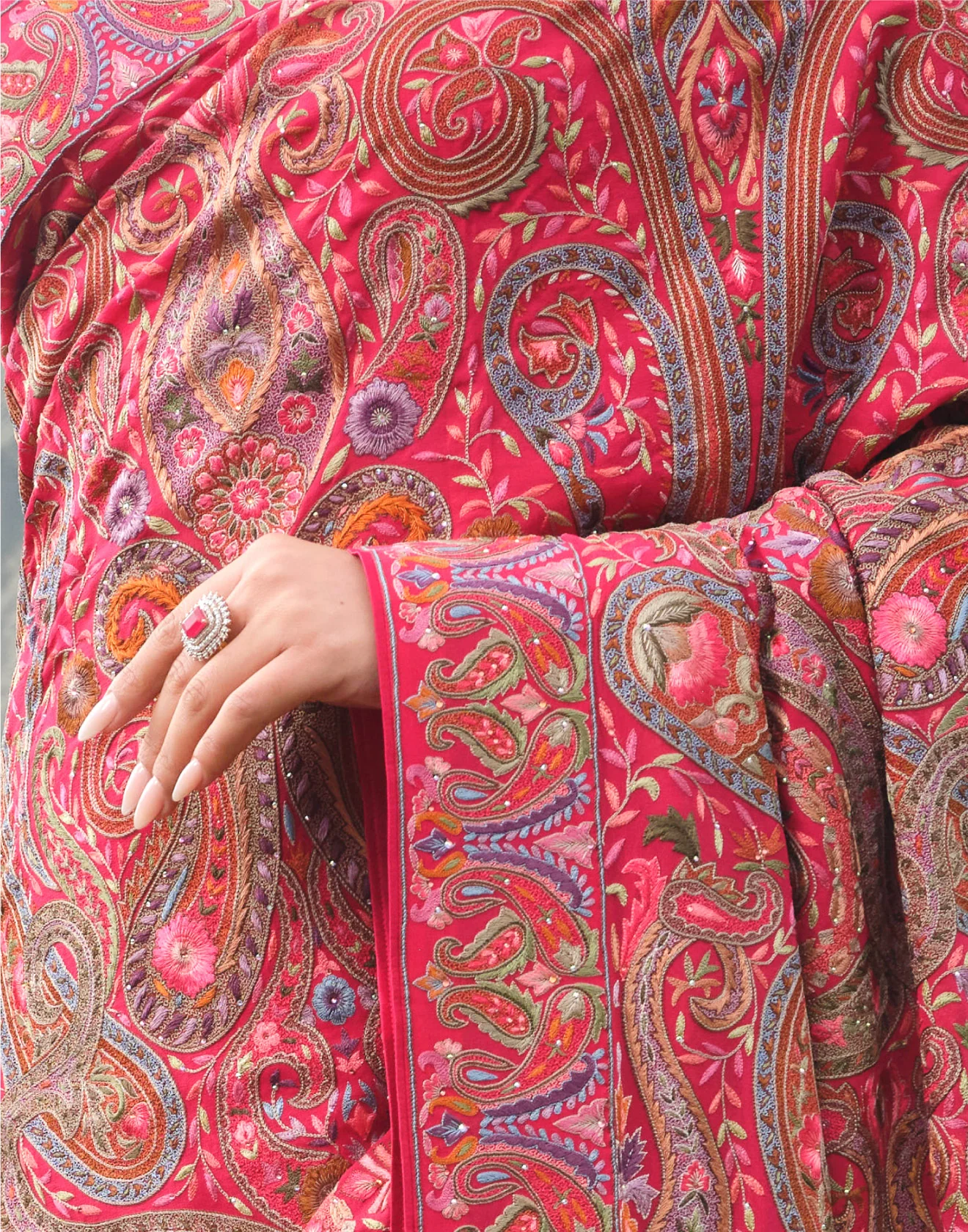 Ruby Red Pashmina Embroidered Saree - Image 3