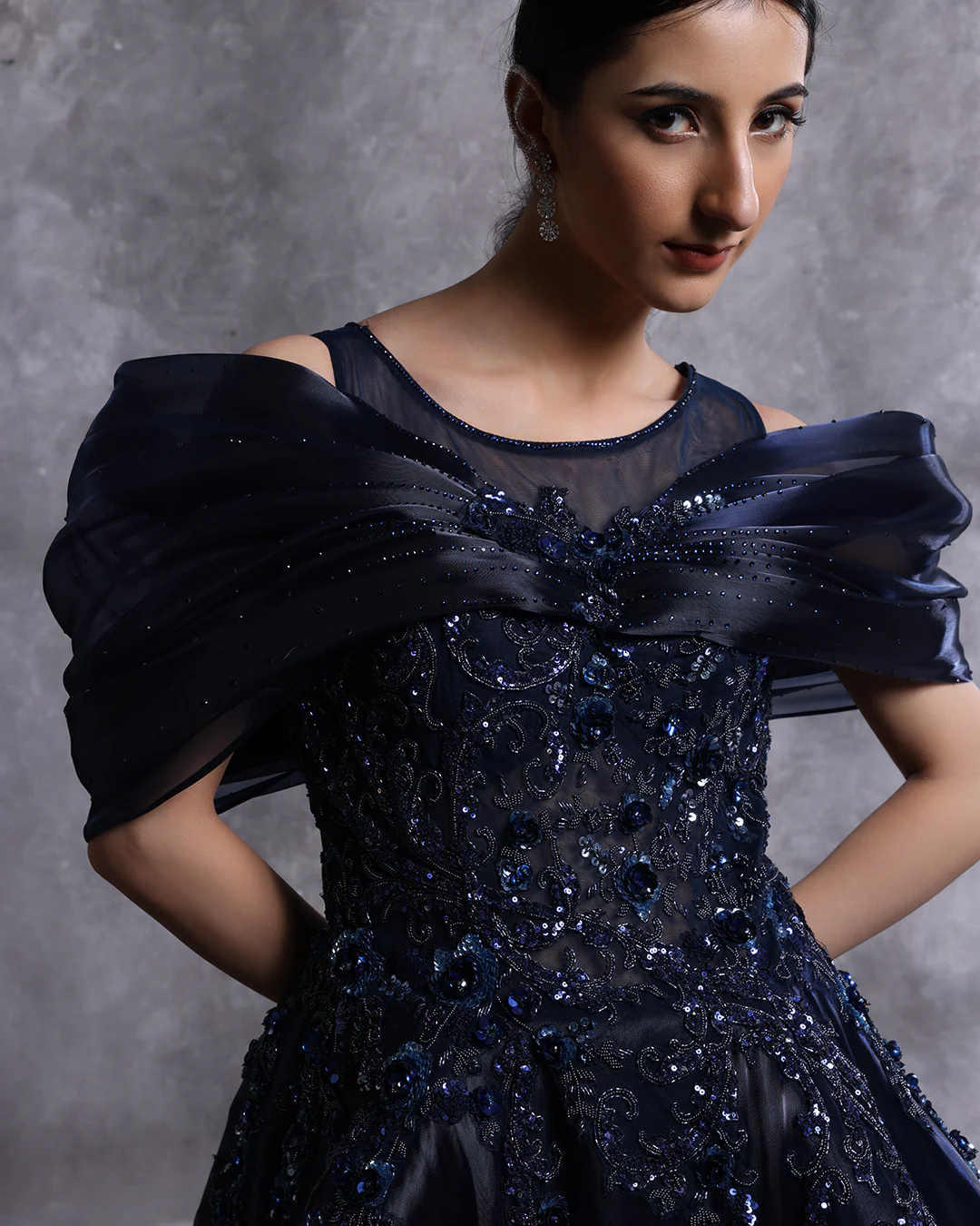 Sapphire Orbit Embellished Tissue Organza Gown - Image 3